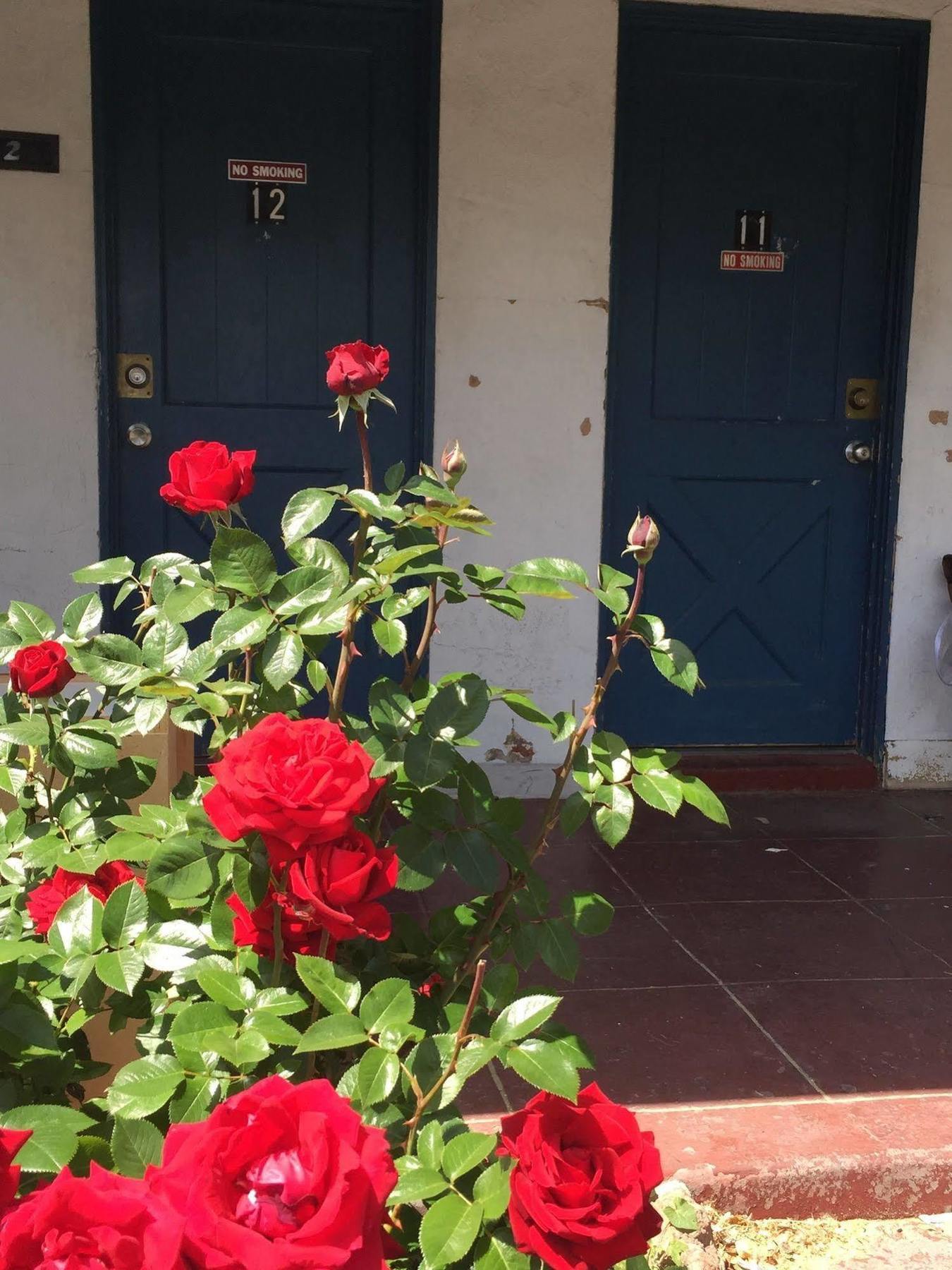 Townhouse Motel Бишъп Екстериор снимка