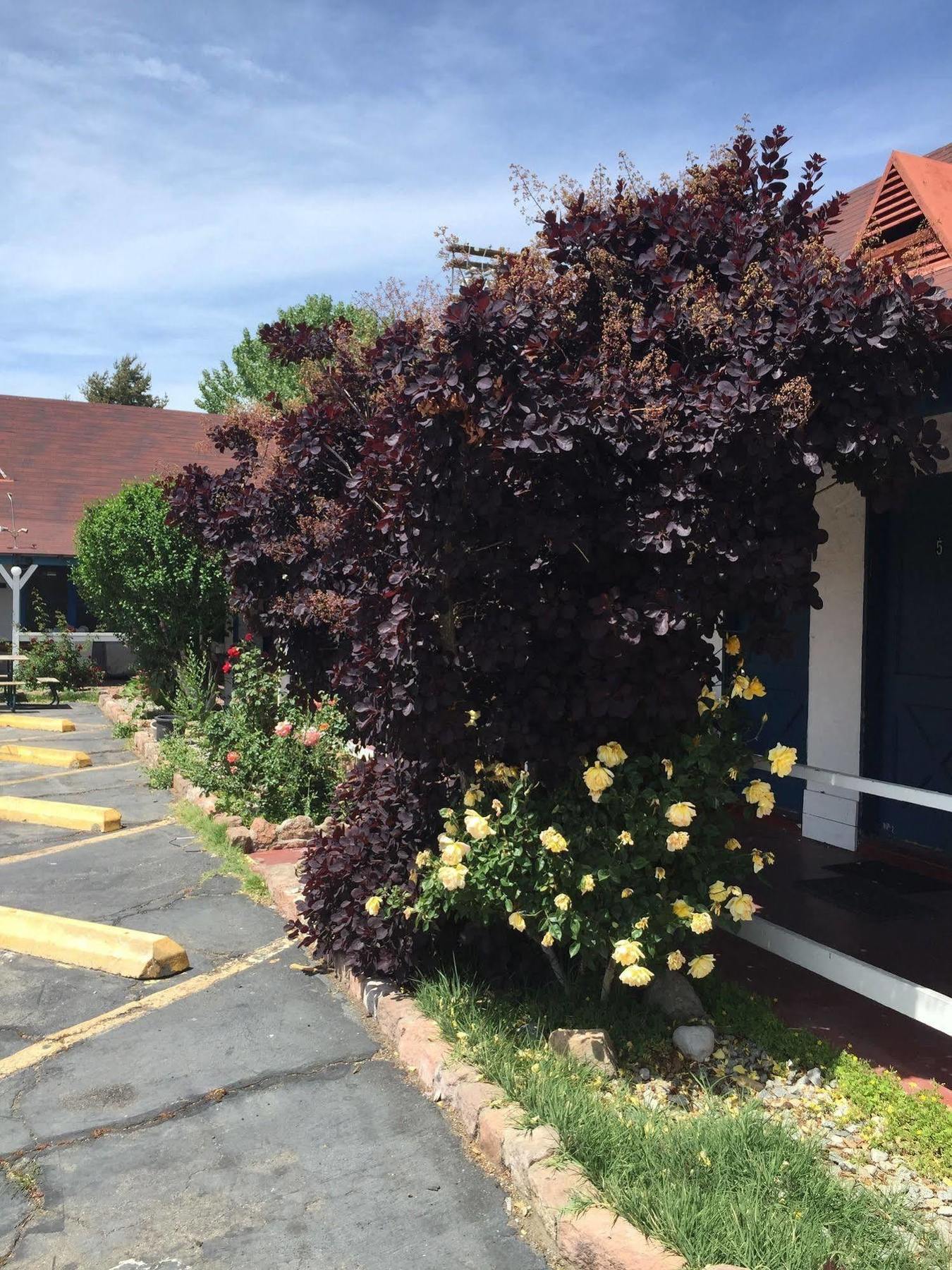 Townhouse Motel Бишъп Екстериор снимка